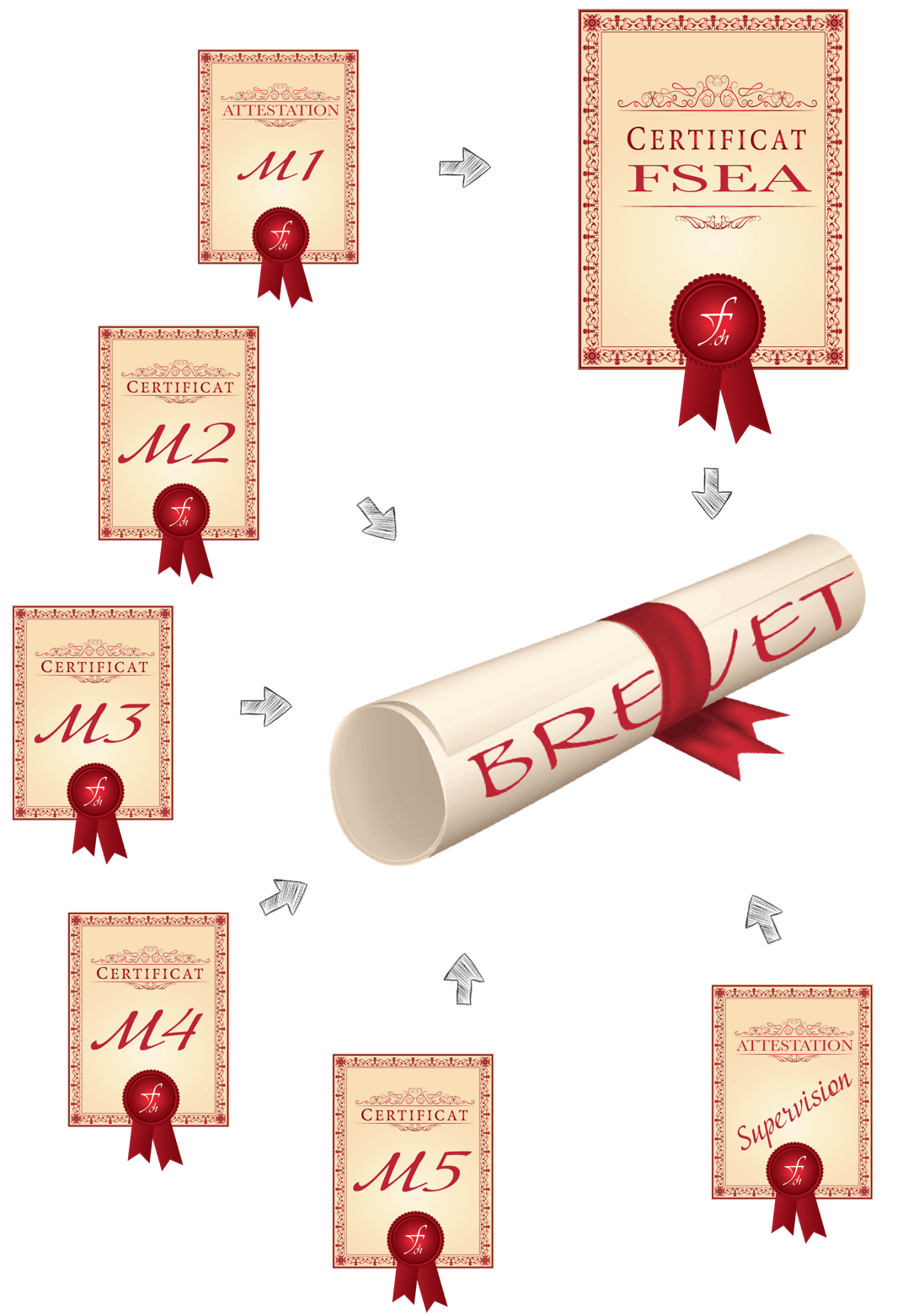 Certificat FSEA et brevet pour formateurs